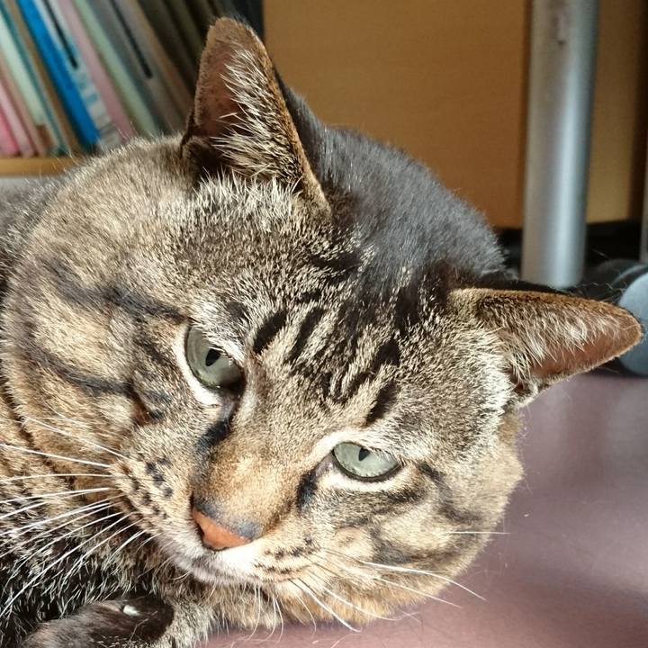 18471125 a073 40b9 b642 d9a0ec2e22d0 1534077678538