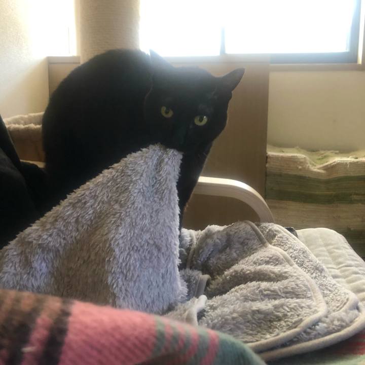 18477845 fd2e 4f78 9217 8ee92940b49e 1646353601667