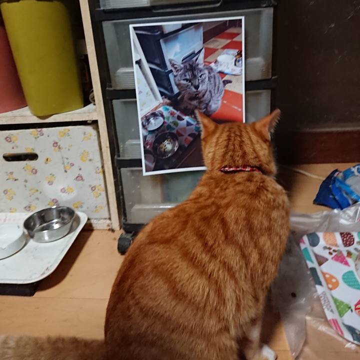 1847b66b 53e8 4234 a19e dcaa5673815d 1599767290078