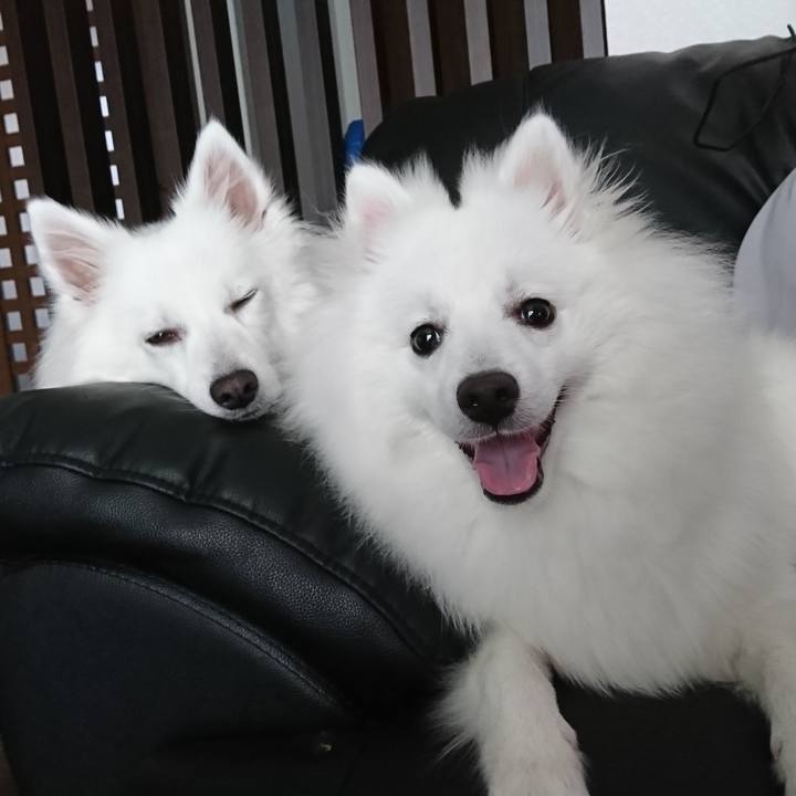 184812d5 85ac 40ef 85d1 e1fb8208c548 1559363094454