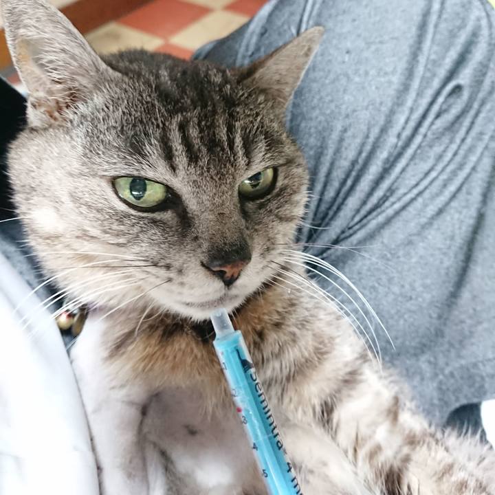 184817fa 92e1 4883 b596 eb26b6487478 1588801552160