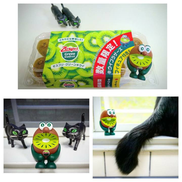 18481d5a 89b4 4d74 95bb be5949039bd5 1566639009827