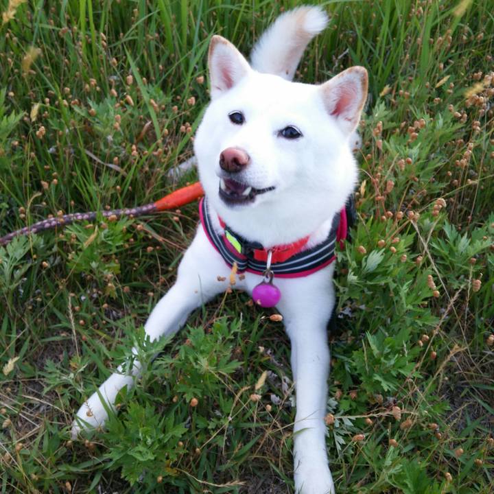 184831a2 fd2b 4d0f aa4d 97448cf0e2f1 1560249850460