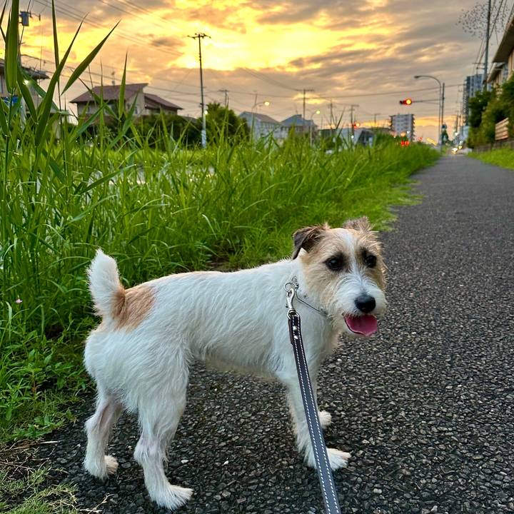 18483e7a c789 41ad 8b53 e5fee2056ac8 1722411293369