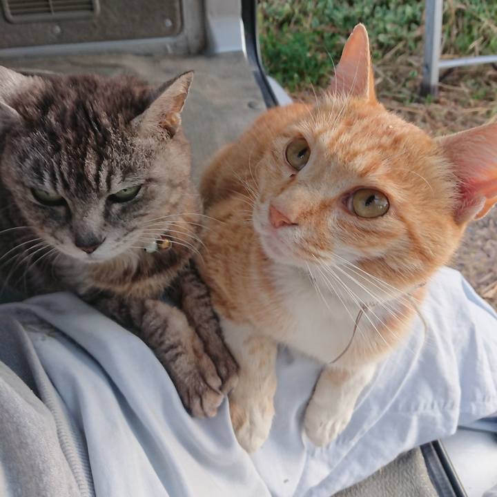 18484b3f 8d8c 4335 80ff b36b80189a5e 1592426296384