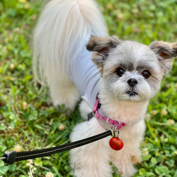 18486182 fa00 463e 991e f4822036a98f 1656626608368