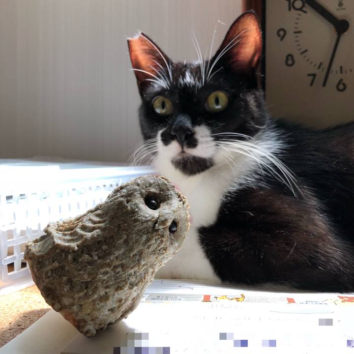 18488795 c4ac 481a b7bd dab7298371b9 1532582137351