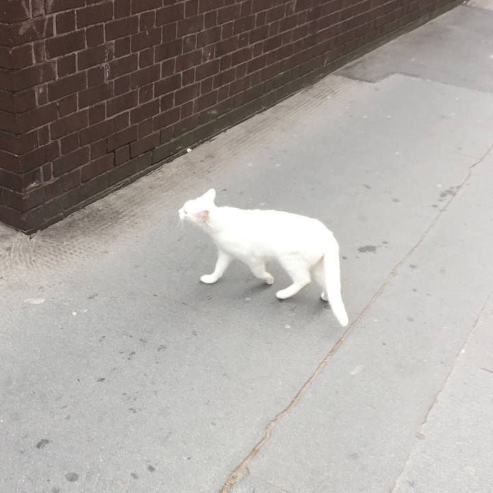 1848c15f aed2 457b aabf 324723e323bf 1526495162021