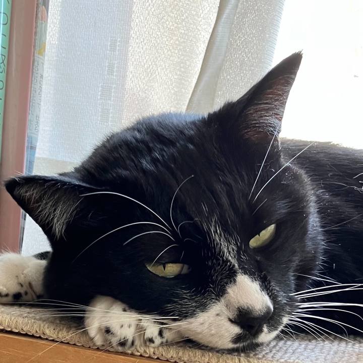 1848e8f3 d09d 4e5a ba5b 56be9646ef50 1686887000514