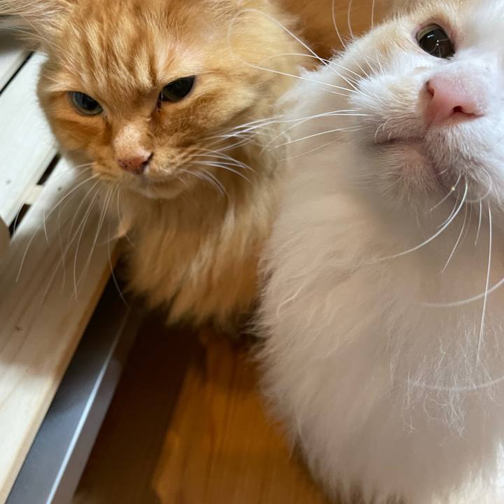 1848ee2d 1659 48ff 996c a5447e8116c6 1637704707091