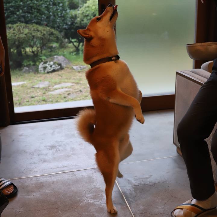 1848fab5 3931 4b2b aa3b c6855b1f1d49 1534777965828