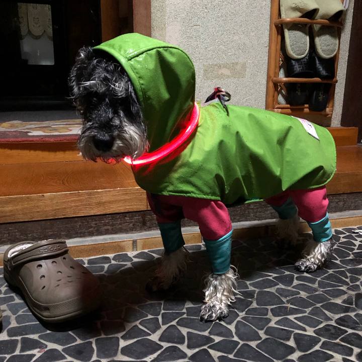 1848fee4 7a6d 401d 9439 0bcc80c9ddca 1650017578454