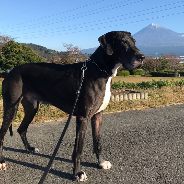 1848ff97 4007 456c b300 8d29ec9012d6 1510444874688