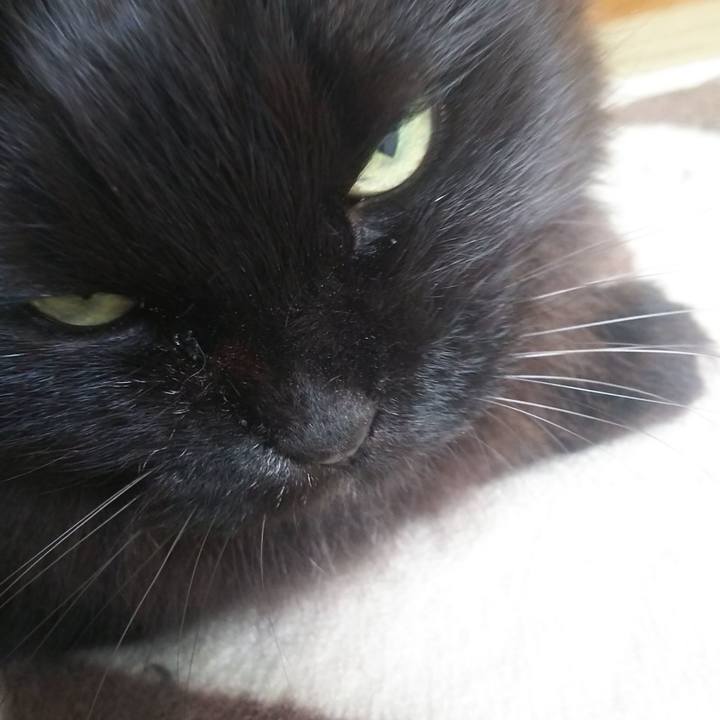 18490201 1910 4917 839e 06bdab07a680 1556330107904