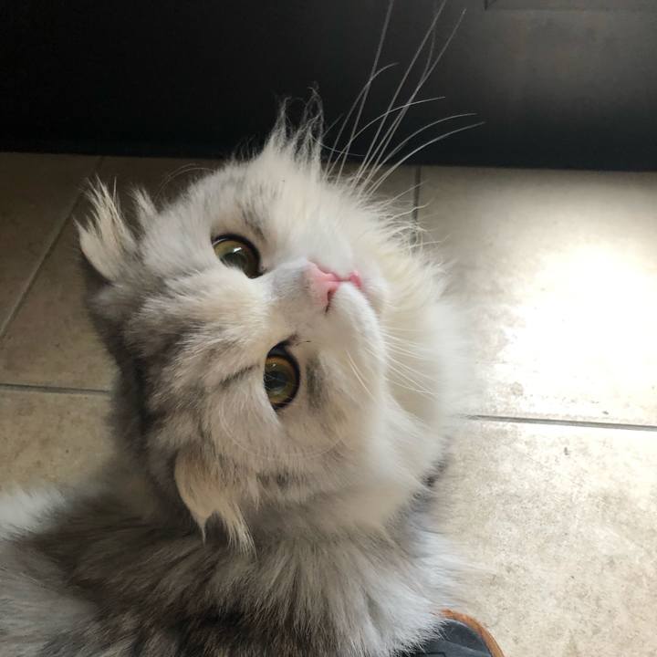 18490712 e498 49e7 842c 531952774e58 1629288036459