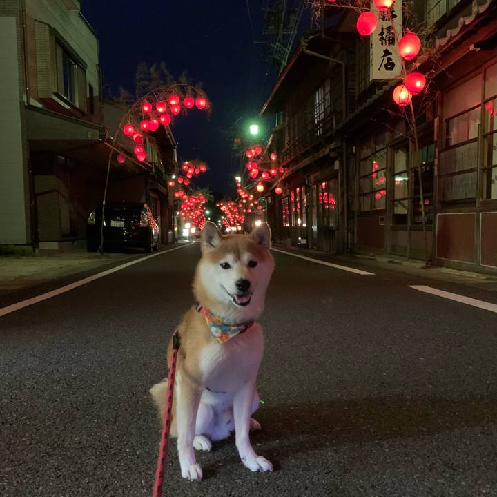 18491531 74aa 4ebf 8352 5917fb2709c1 1626435384012