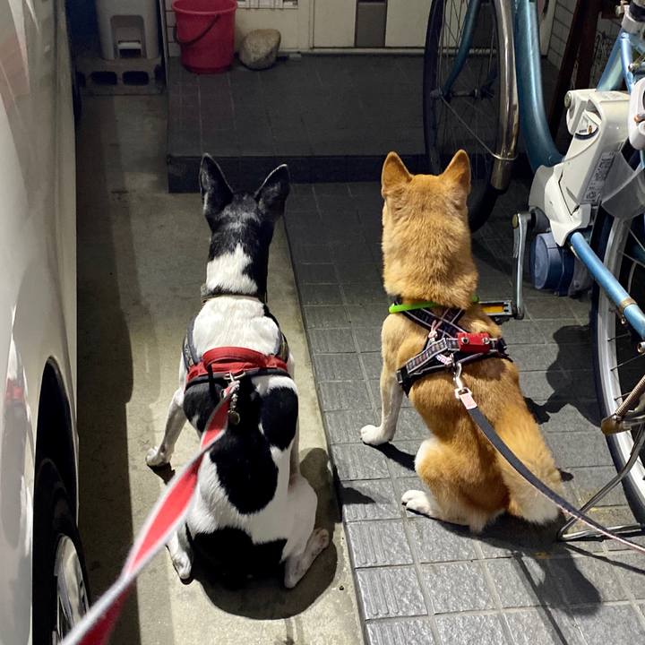 18493719 244c 42fa a00a ec8efcb82736 1604413022224