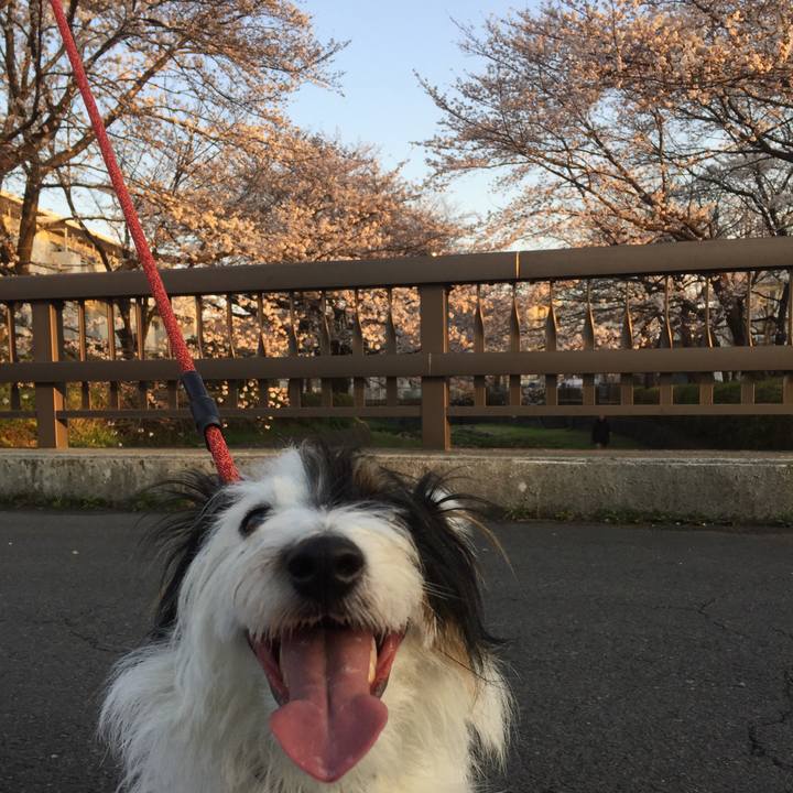 184960a1 7cae 4a4d 9f8c 750b40525278 1522016383179