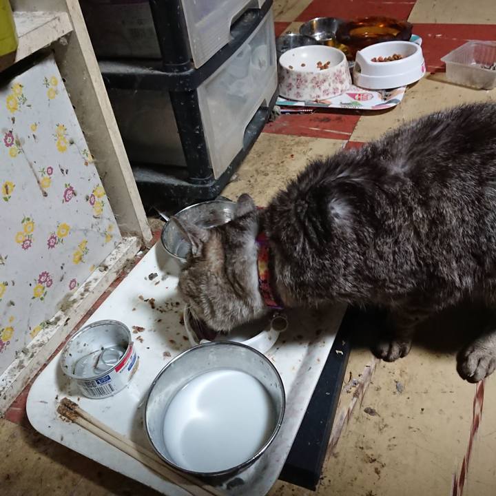 1849b5c2 9780 437d 969f d046723480e1 1596315002355