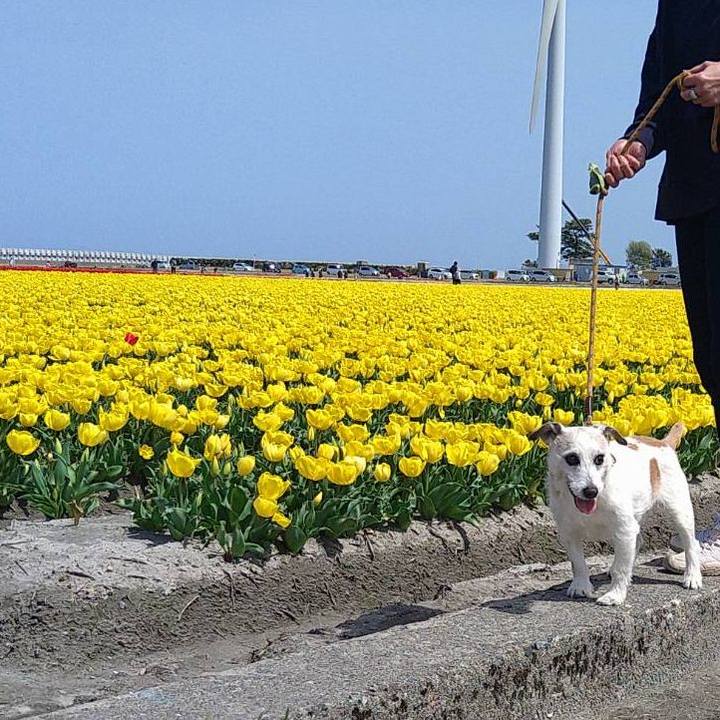 1849c5ee bfca 4cc5 9691 e990a367c3dc 1681453598603