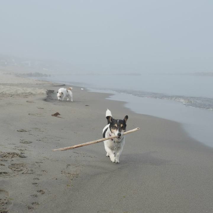 1849cb35 f3e6 4228 afe0 7115b6744044 1525235707580