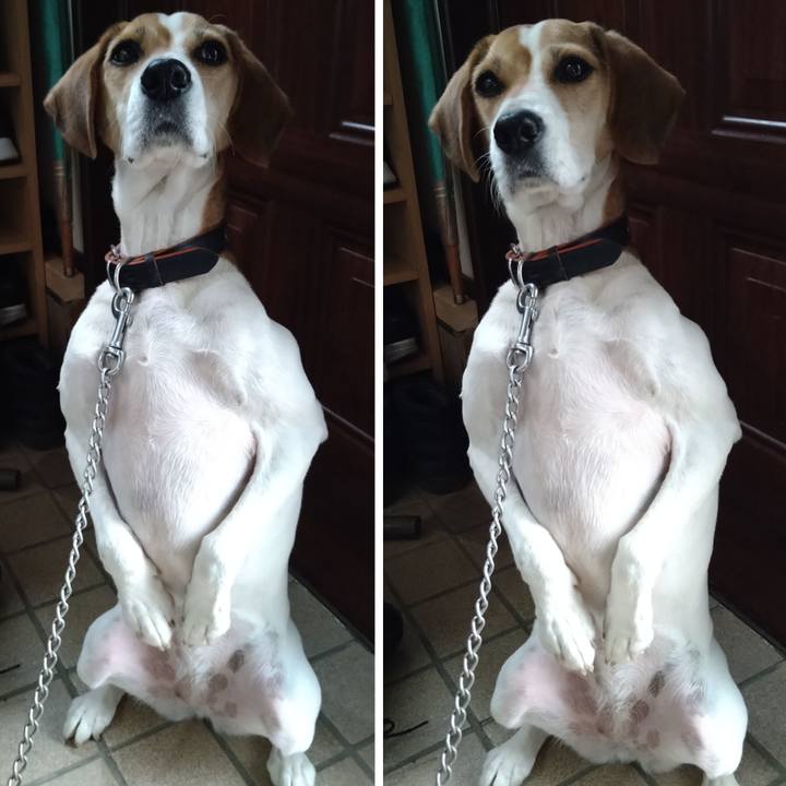 1849d32b e4ab 4ea7 be47 937bc74d3c3b 1635396683192