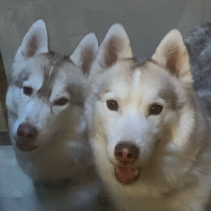 1849fd06 33b0 4337 be98 1011f8461b9e 1623472299333