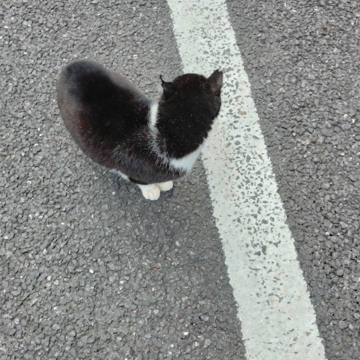 184a4b5b fbfc 4f3c 8712 45e179e9c844 1707348159296