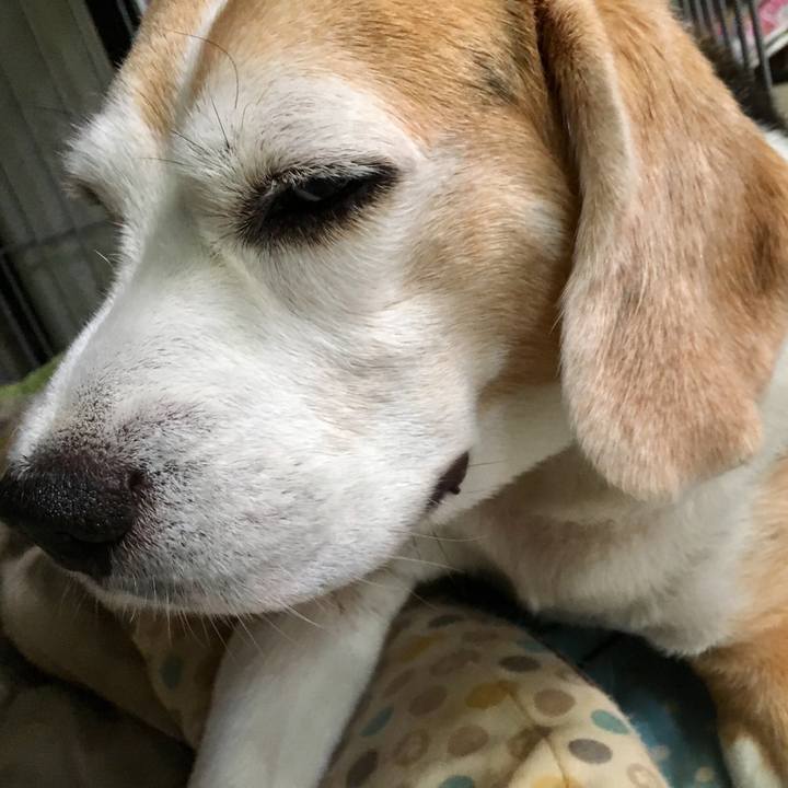 184a5a85 2879 4633 9426 af63205d7d58 1536032830810