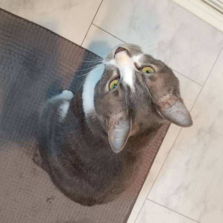 184a8cc7 bcfa 4d8e ad94 d3eac1f5d37c 1613943757823