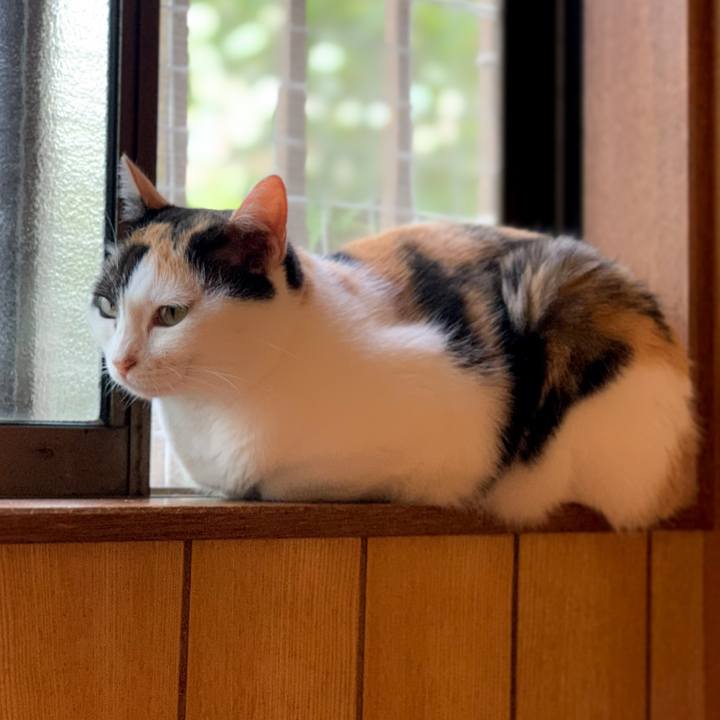 184aa294 e9f4 43c7 b7ba 696b92b69624 1603331112018