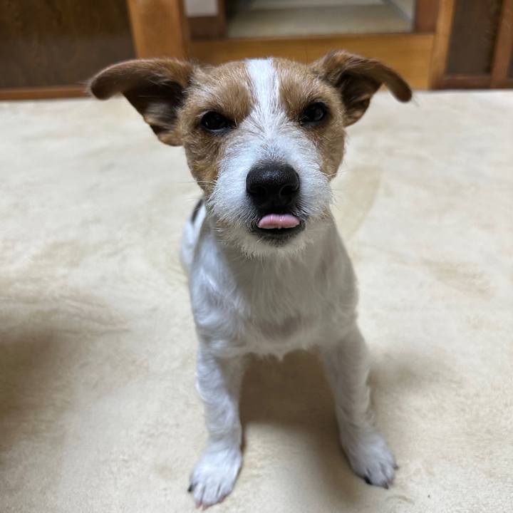 184ac92a f702 430a 8109 f83851928b64 1768851998292