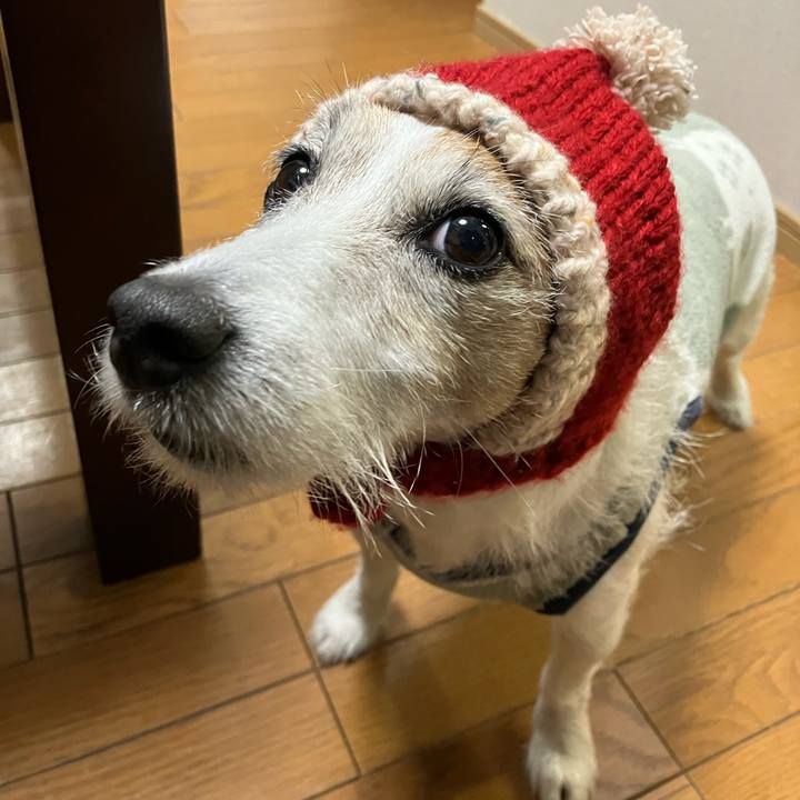 184acee2 28b7 4edf 8493 d45cf83acc8c 1671840702089