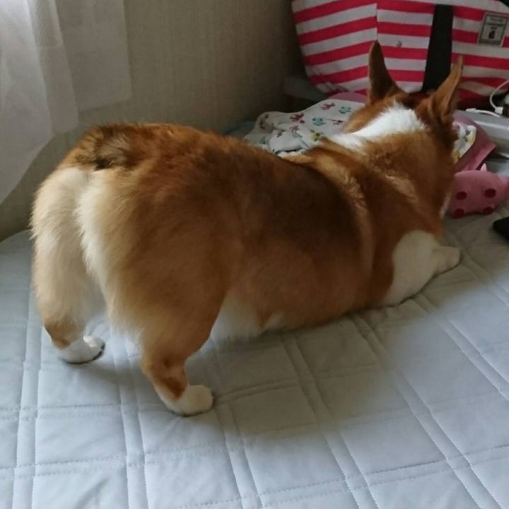 184ad6da 1c80 4850 8053 8a97872de272 1528530037995