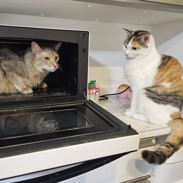 184af74d 5a34 4042 aa5b aa568b2956d2 1768918923486