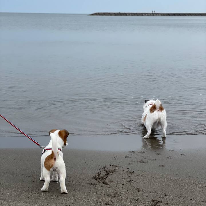 184afb8c 74e9 4381 822b 1ea3ceb26eab 1616891178350