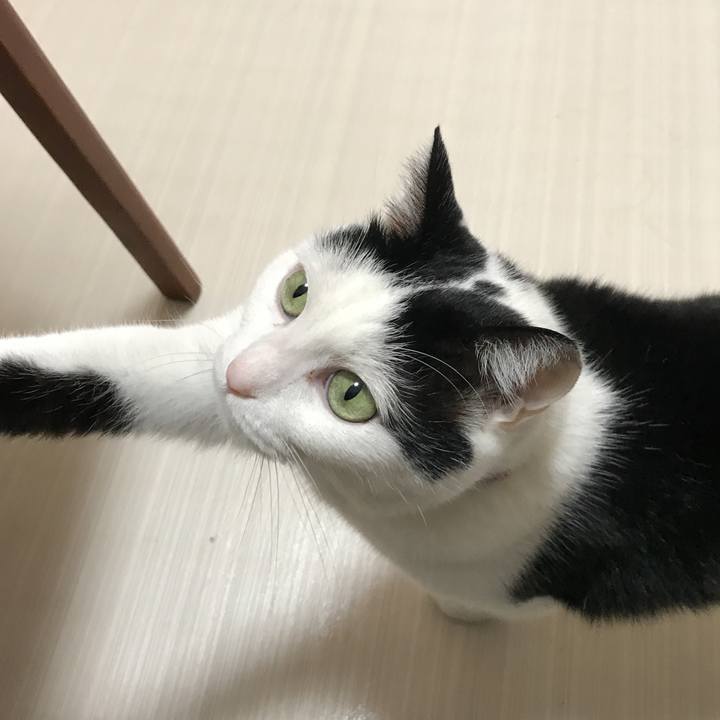 184b07eb f050 448a abd7 cfb27d141b99 1524917507025