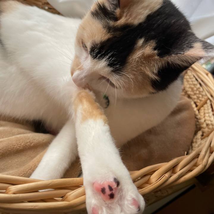 184b08f9 9c08 452d 8a41 a56f9cb6e4d0 1716331124877