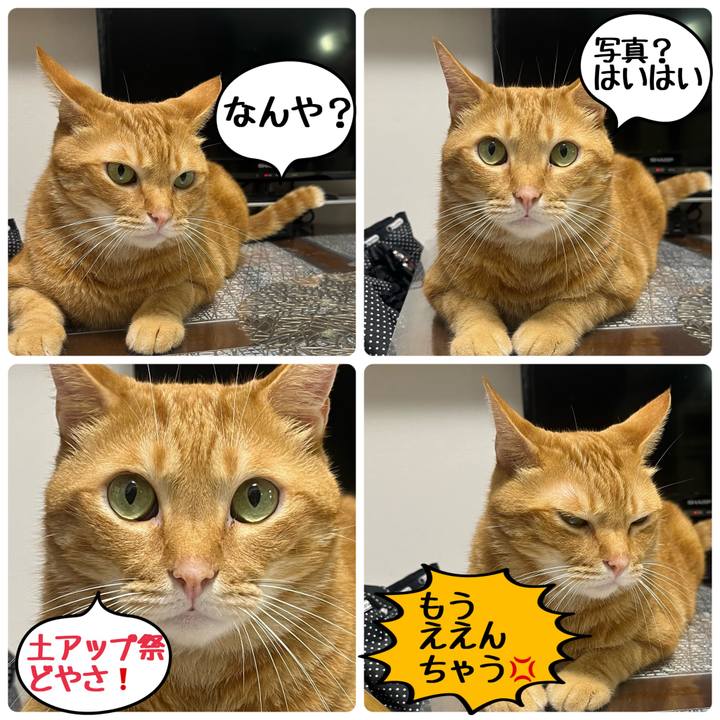 184b17a4 595f 408f ad2e dbdb7f4a89ac 1662206939091