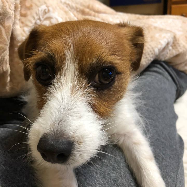 184b1838 b159 4d04 a75f 044e5e1ceb03 1520764332464