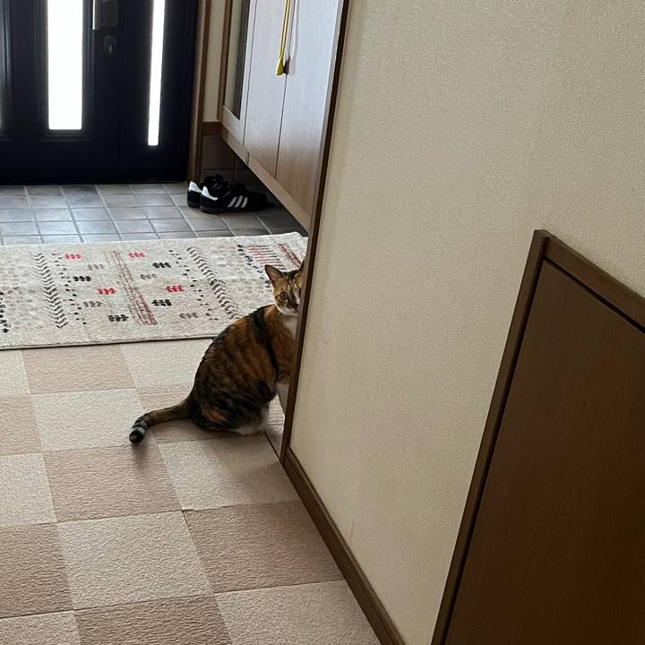 184b6da4 10ba 4b13 be3a 82282cfb43af 1698067577158