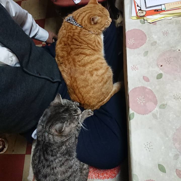 184b710c 6607 41b6 a4a8 fa5c5a5590d0 1576228884295