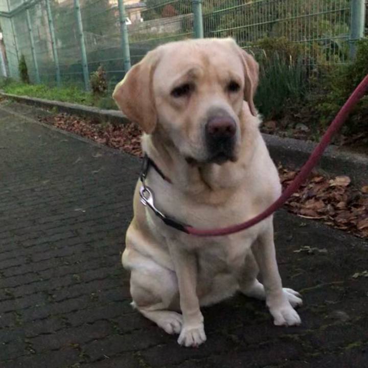 184b7565 b5e4 4103 9b5a 22818a761a4f 1613227435846