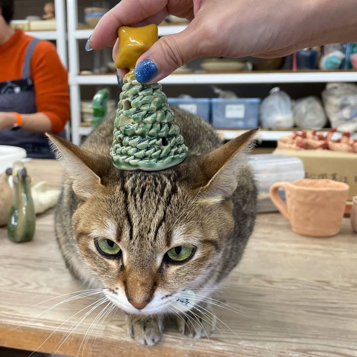 184bbdd1 9be7 42e1 8993 7cbd26300c16 1703394247446