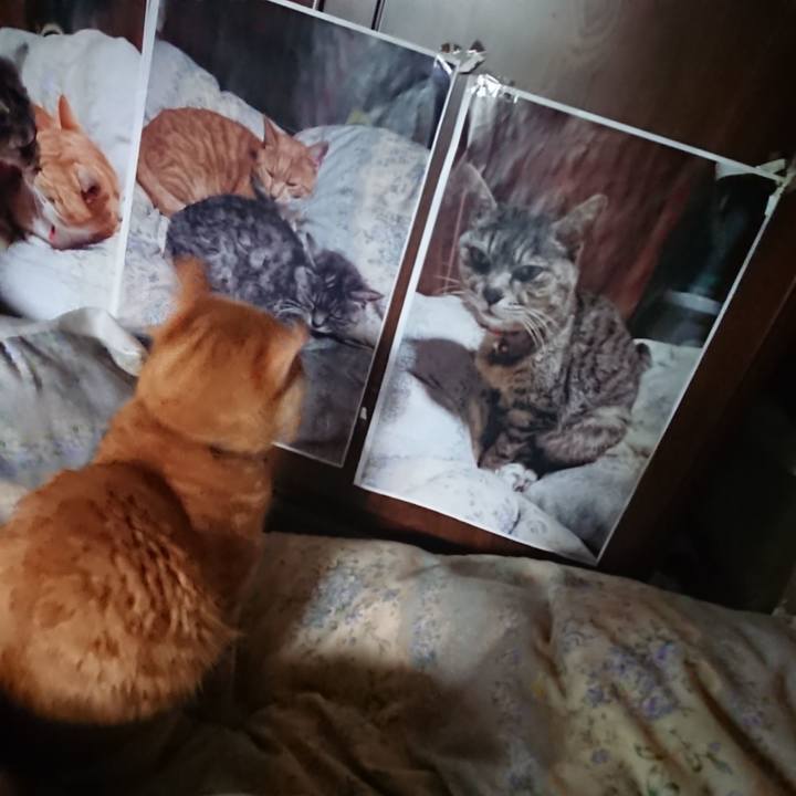 184bd8f5 6048 42bf 9a8a b15079322140 1655329781783