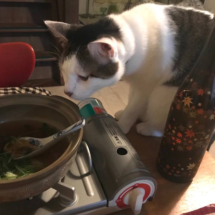 184bfd56 8aa8 4841 b2d6 d5b053c9bceb 1539842233055