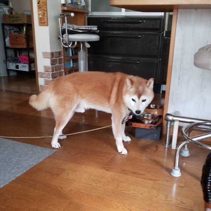 184c32c6 4b52 4400 b85f 6e2bd7d1eef0 1695769967409