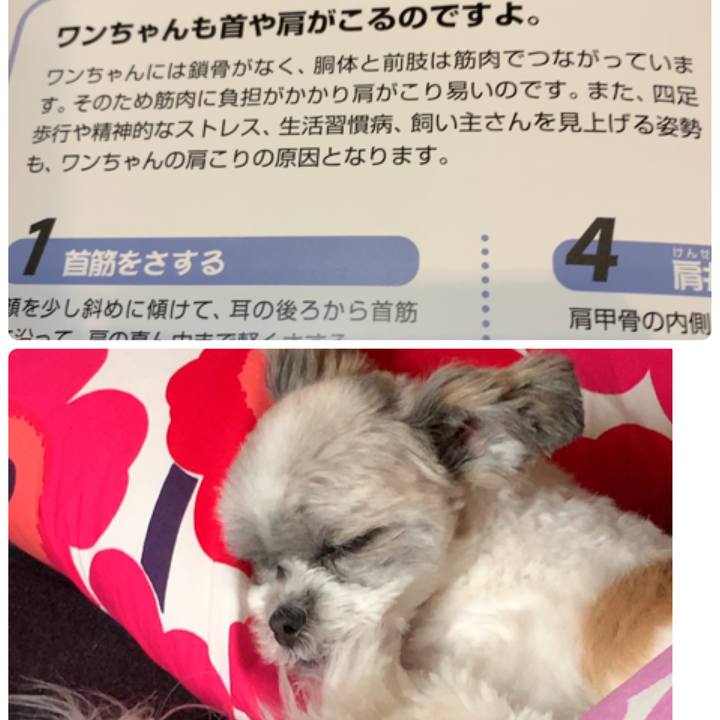 184c7069 031f 405b ad2f 20885f21cd47 1565302020029