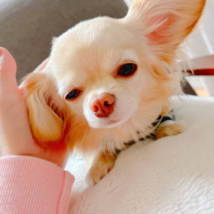 184cc1a2 fa51 4d82 ba52 5bc8fb0ea7b0 1648548821277