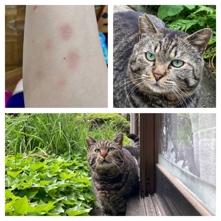 184cdaf1 bb52 4f89 8857 4067d92daa28 1656671966240